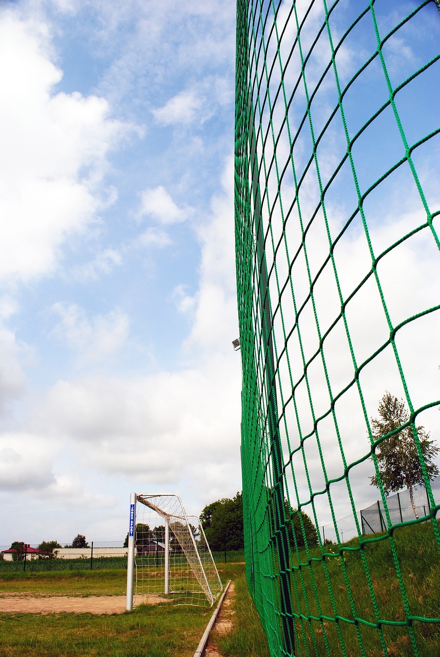 王钰栋如果能去德国就最好了